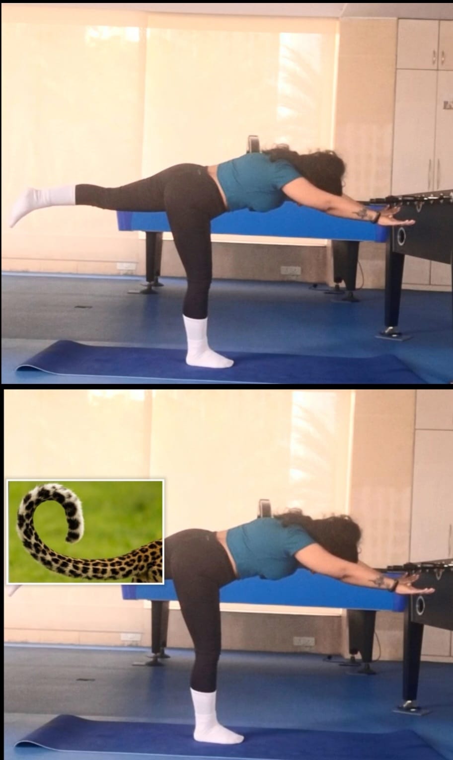 Wellness With Yoga practice 5